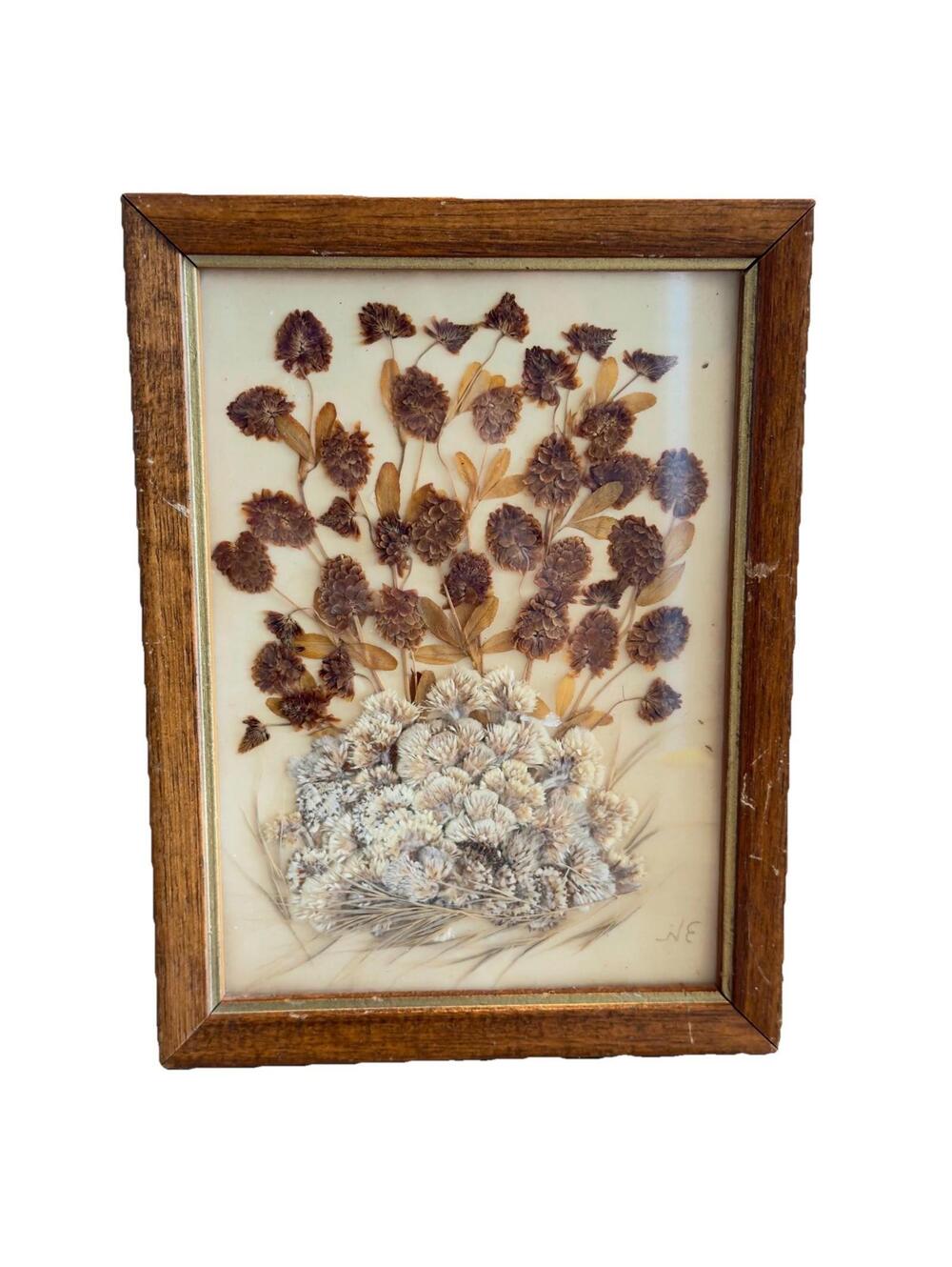 PRESSED Dried FLOWERS vintage Boho Bohemian Natural Clover Meadow Puffs Art Work